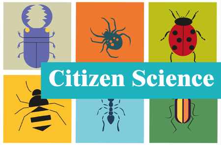 Fókuszban a közösségi tudomány